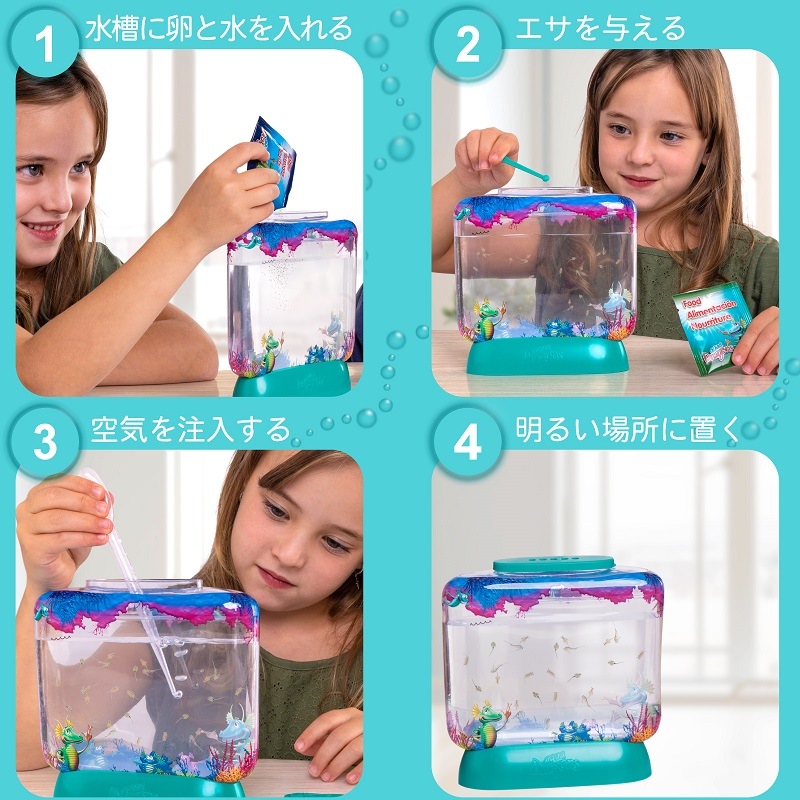 アクアドラゴン育成キット