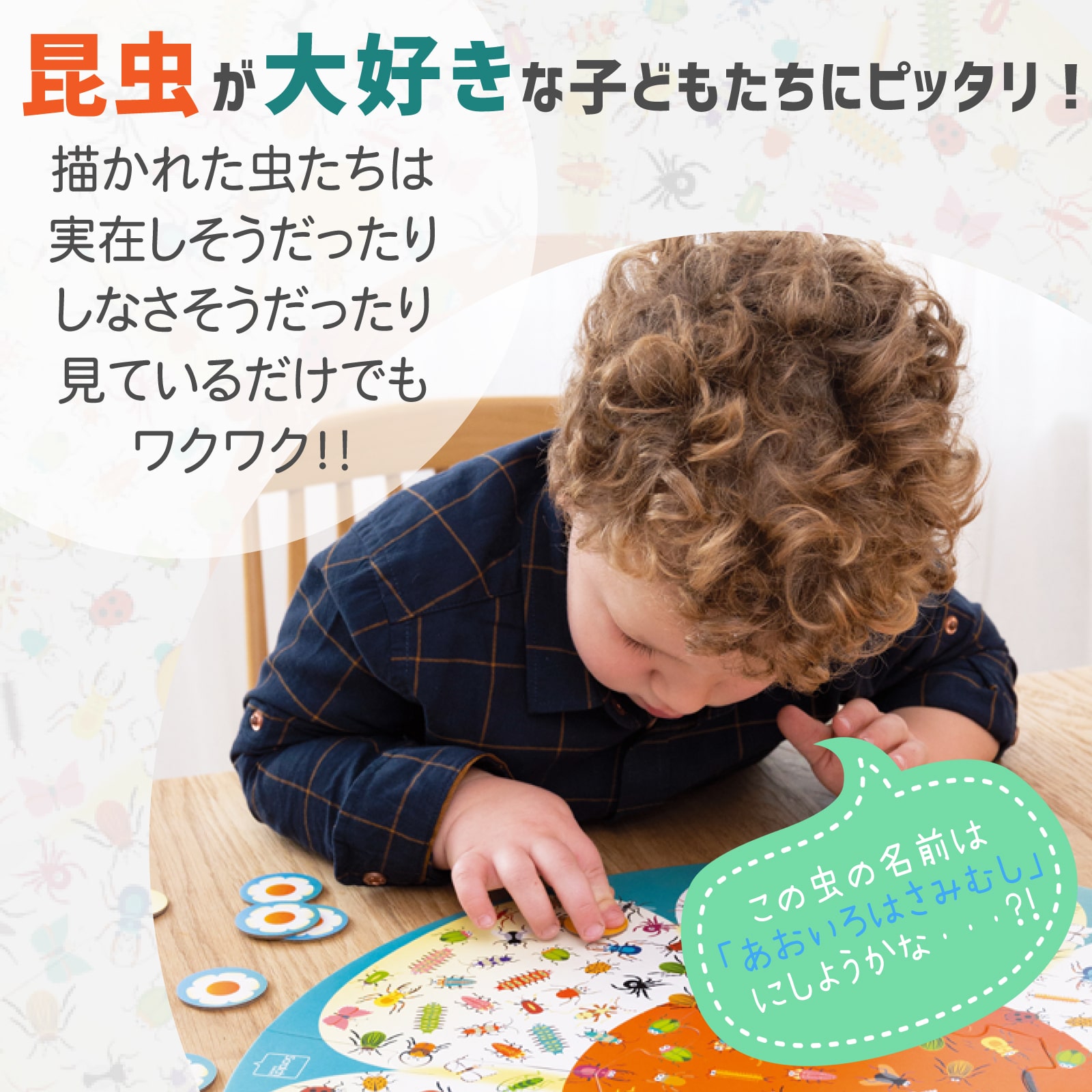 探して集めて 昆虫ゲーム