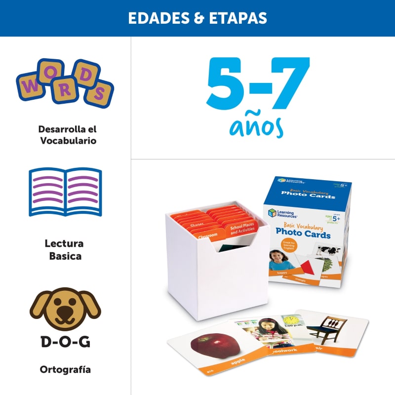 Basic Vocabulary Photo Cards