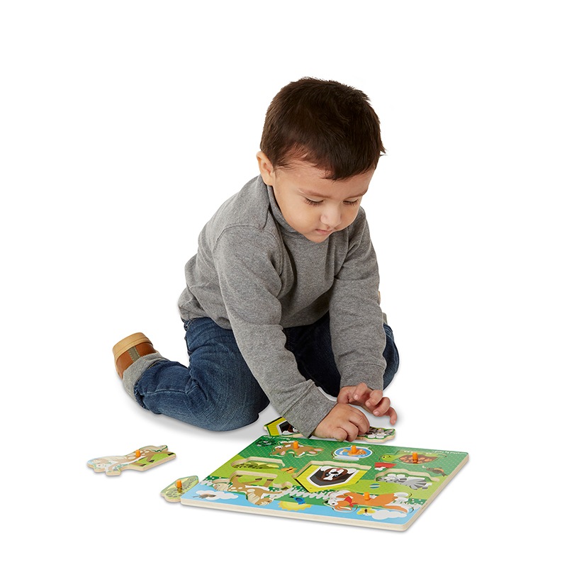 Pets Peg Puzzle