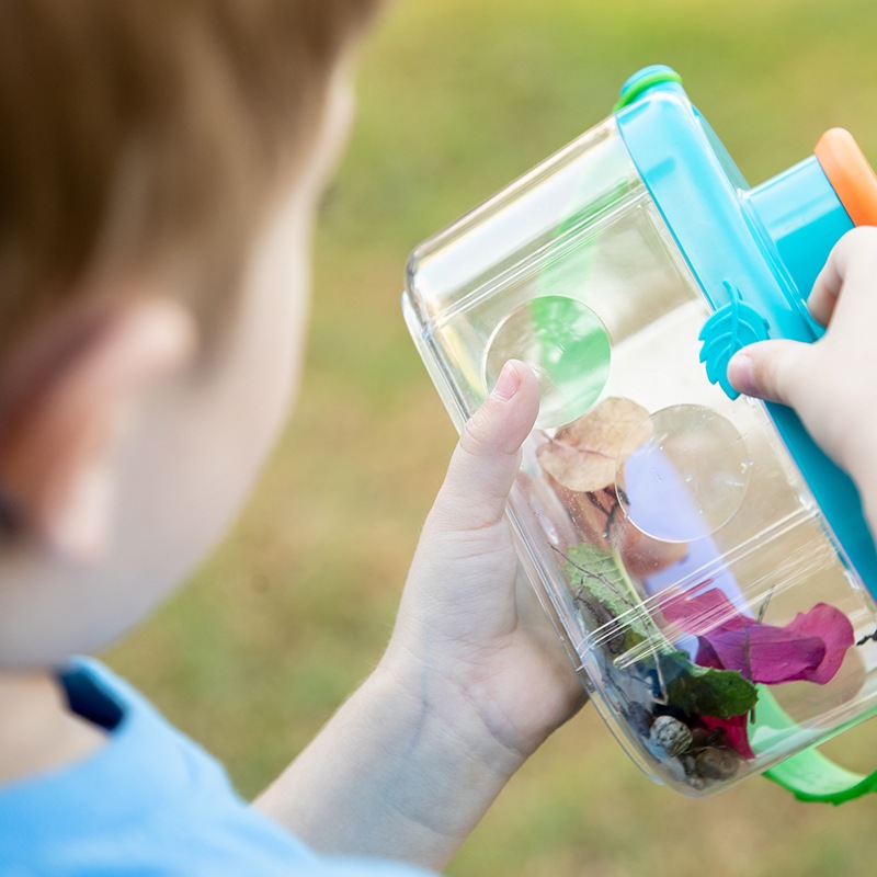 初めての昆虫ケース 拡大レンズ付き