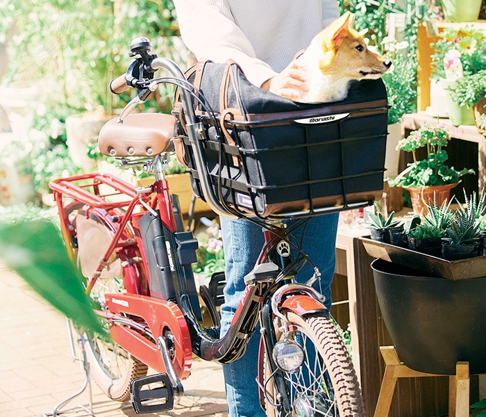 ペット専用自転車　美品 RB02_1000x.jpg?v=1727246799