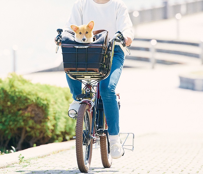 ペットと乗れる ペットポーターアシスト ASPET203Z 丸石サイクル