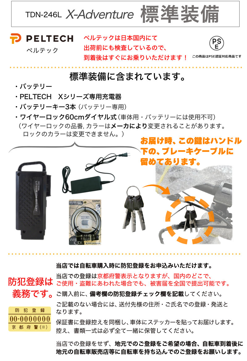 メーカー直送※送料無料】電動アシスト折りたたみ自転車 TDN-246L