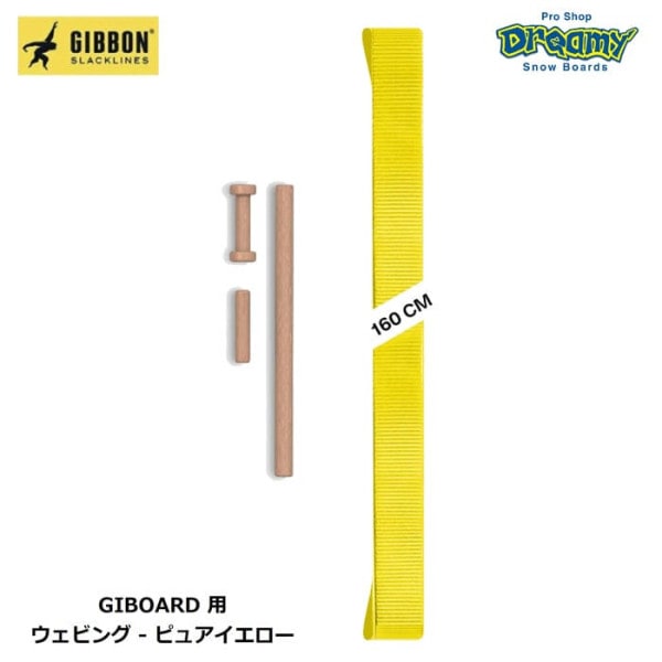 GIBBON ���ܥ� GIBOARD ���ܡ����� �����ӥ� 160cm 5cm�� ���ƥå��롼��2�ġ��ƥ󥷥�󥹥ƥ��å��դ� ����å��饤�� ���Ϥ� �ե��åȥͥ� �襬 ������