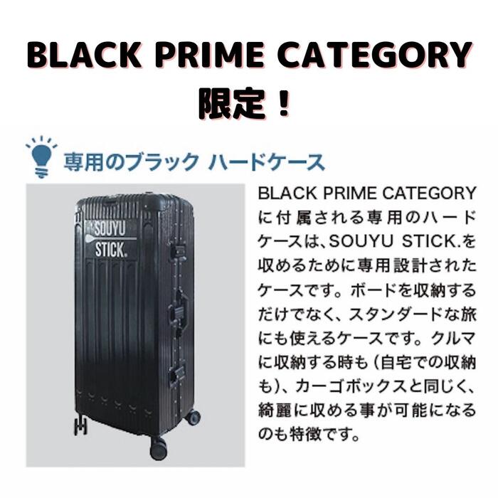 SOUYU STICK SKYWALK 10'6\