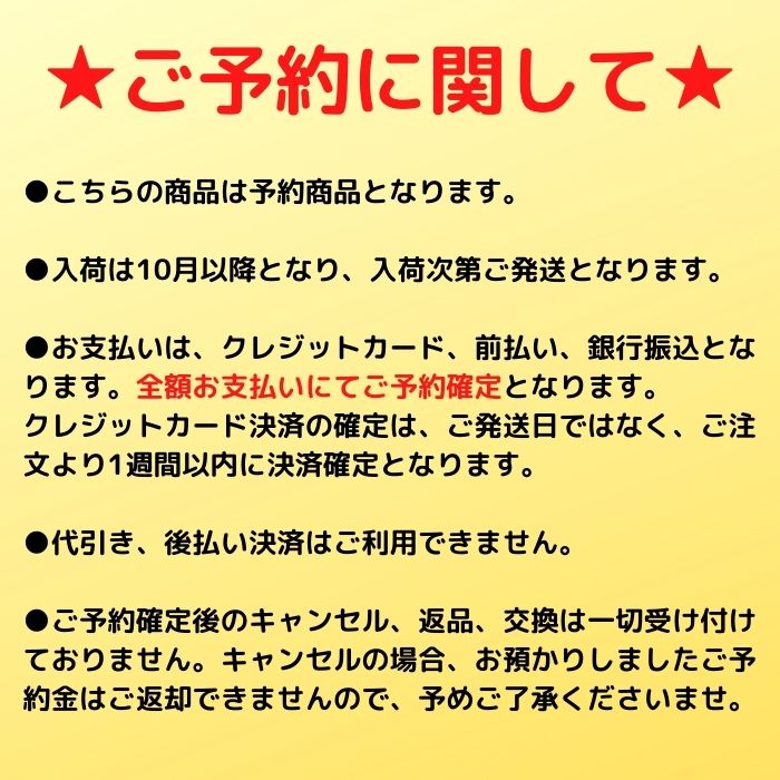 23-24 RICE28 ライス leverage レバレッジ ハイブリッド