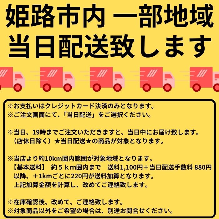 RENTAL レンタル 1泊2日 フラットスキムボード レンタル | レンタル