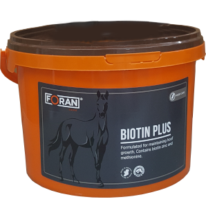 �ӥ����󡦥ץ饹������������