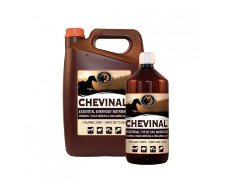 �����ӥʡ���[��������ѥ����å�]