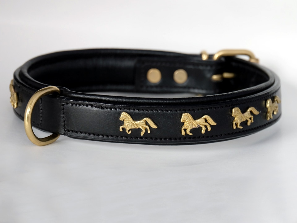 レザードッグカラー（馬） | 乗馬用品の通販 プラドショップ