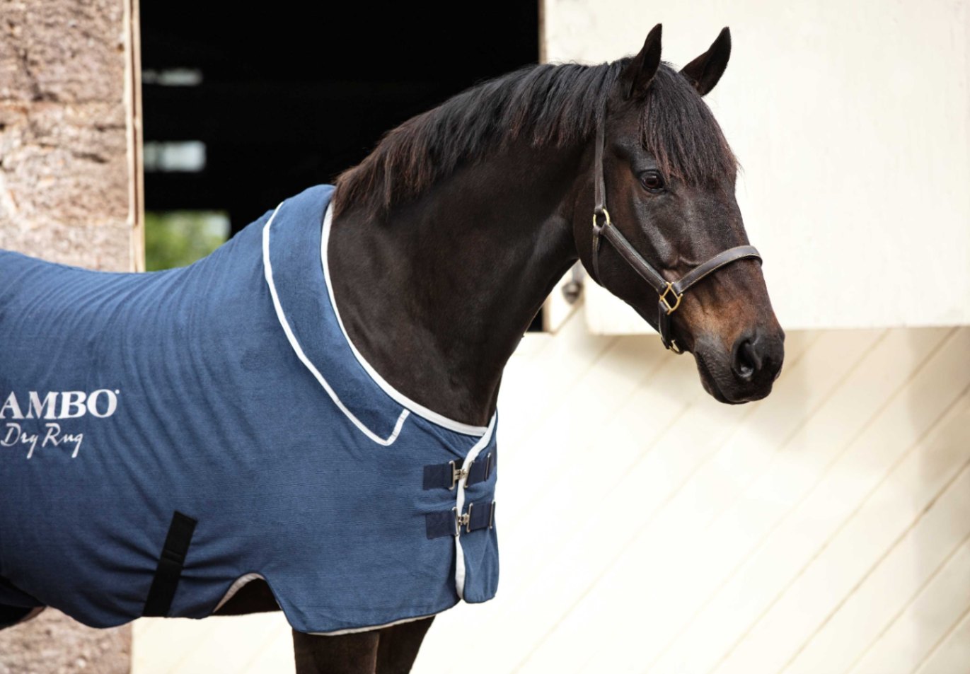 ランボー ドライラグ | 乗馬用品の通販 プラドショップ