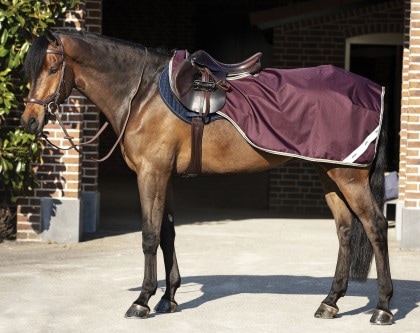 ���ߡ��� ��åץ��ȥå� ����ڥƥ�����󥷡���