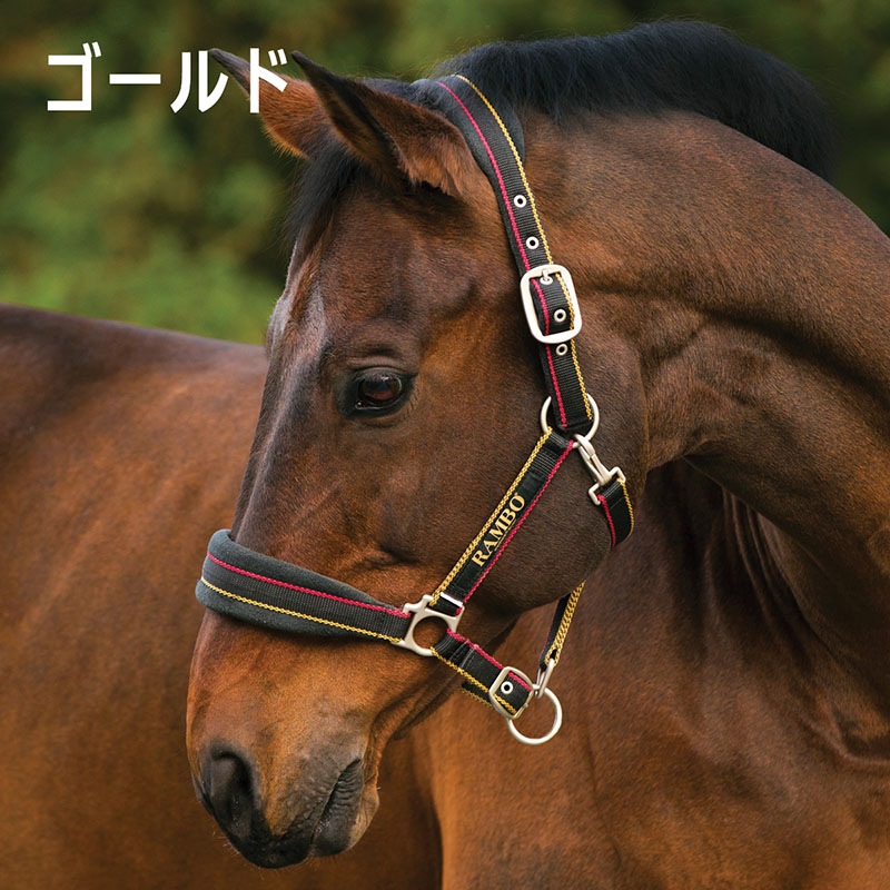 HKMアルモニア無口 乗馬用品 リゼ無口