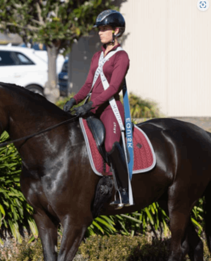 乗馬？アンティーク 馬具・乗馬用品・ペトリ・エレガンスアウトレット品・ボロライディング