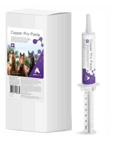 ARK/ ���ѡ��ץ��ڡ����ȡʹ������к�����������Ƽ���ץ��