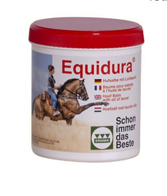 STASSEK/�������ɥ�����������ݸ�꡼��