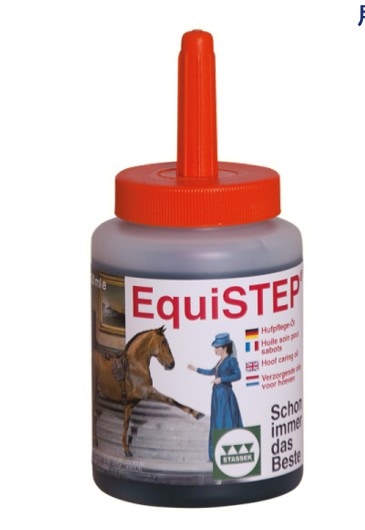 STASSEK/���������ƥåס������ݸ���Ѷ�����