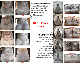 NT-DRY���̥ƥ����ɥ饤�ѥ�����
