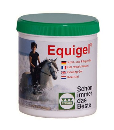 STASSEK/����������ʵ�����ѡ����ť������