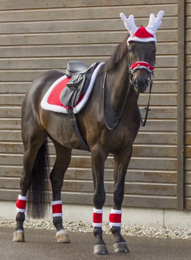 ���ꥹ�ޥ������ɥ�ѥåɡ�