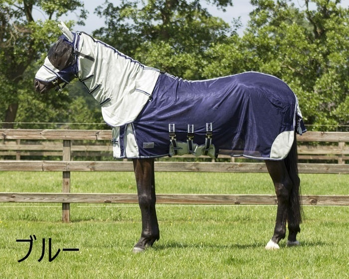 ������ե饤�饰���������ͥå����ա���