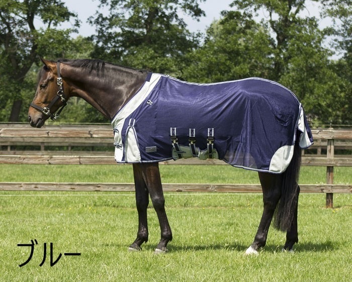 ������ե饤�饰���������ͥå����ա���