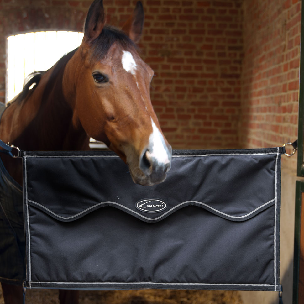 ��ߥ��� ���ơ��֥륫���ƥ󡡥��硼��