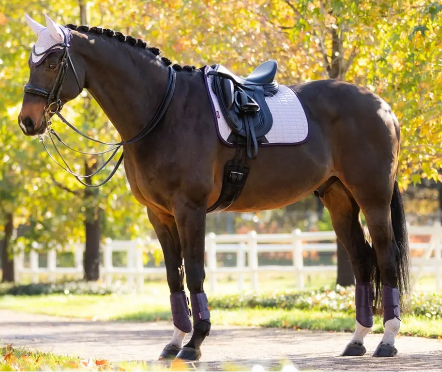 �������ɡ���������/�ģҡ�