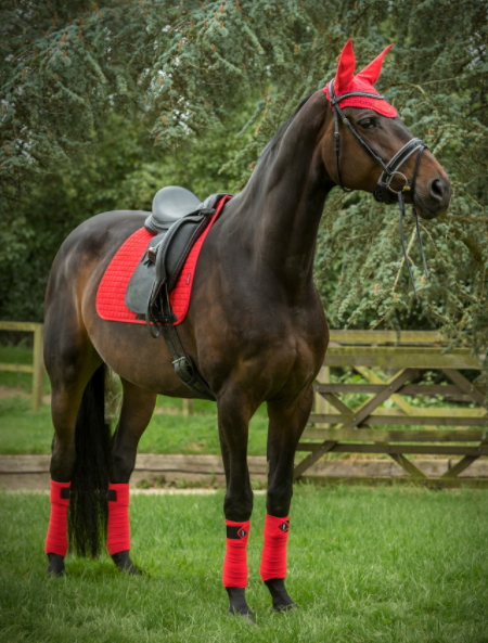 �������ɡ���������/�ģҡ�