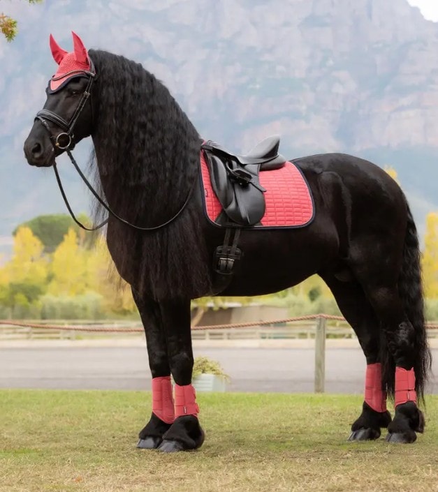 �������ɡ���������/�ģҡ�