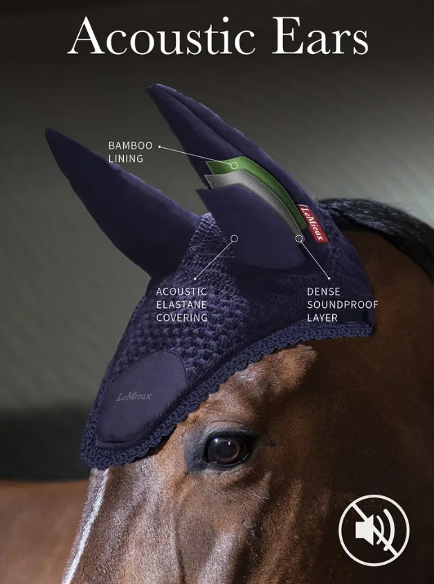 ���å��� ���������ƥ��å� �ե饤�ա���