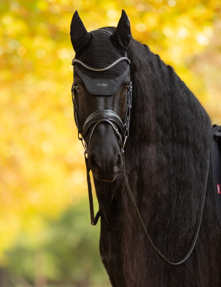 ���å��� ���������ƥ��å� �ե饤�ա���