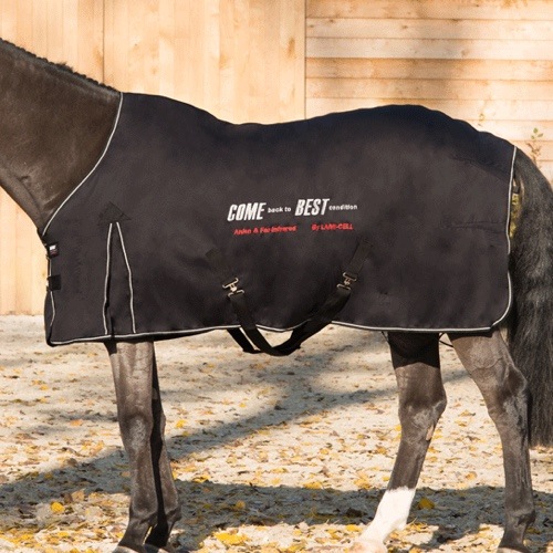 ラグ カムベスト | 乗馬用品の通販 プラドショップ
