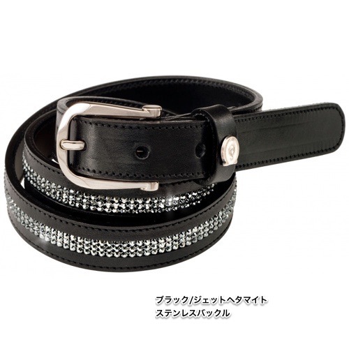 貴重】新堂敦士率いるカメレオンファンクラブ会報 全20冊 おまけ付き