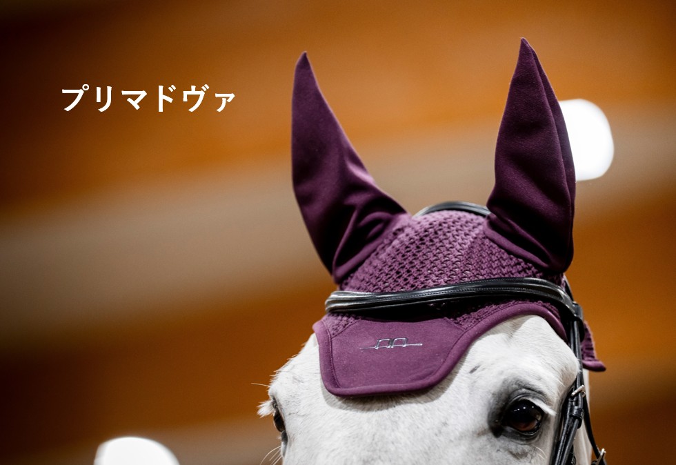 AA���䡼�ͥå�