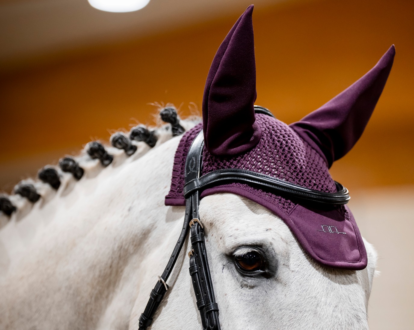 AA���䡼�ͥå�