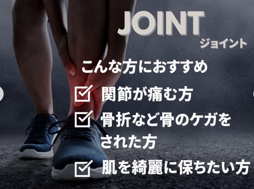 JOINT[���祤���]���祤��ȥ���ǥ������Υ��ݡ�����