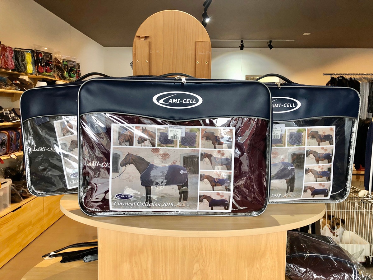 �����顼�饰�����饷����