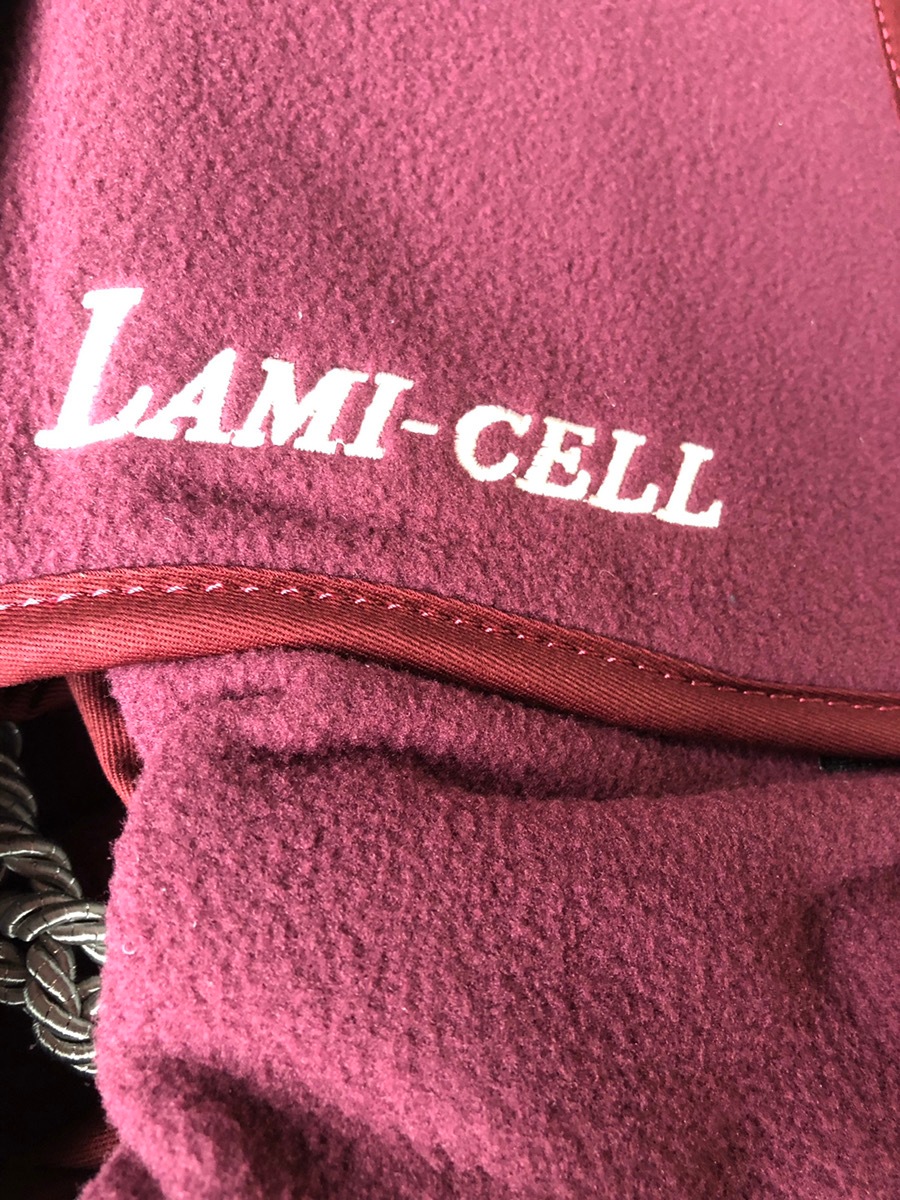 �����顼�饰�����饷����