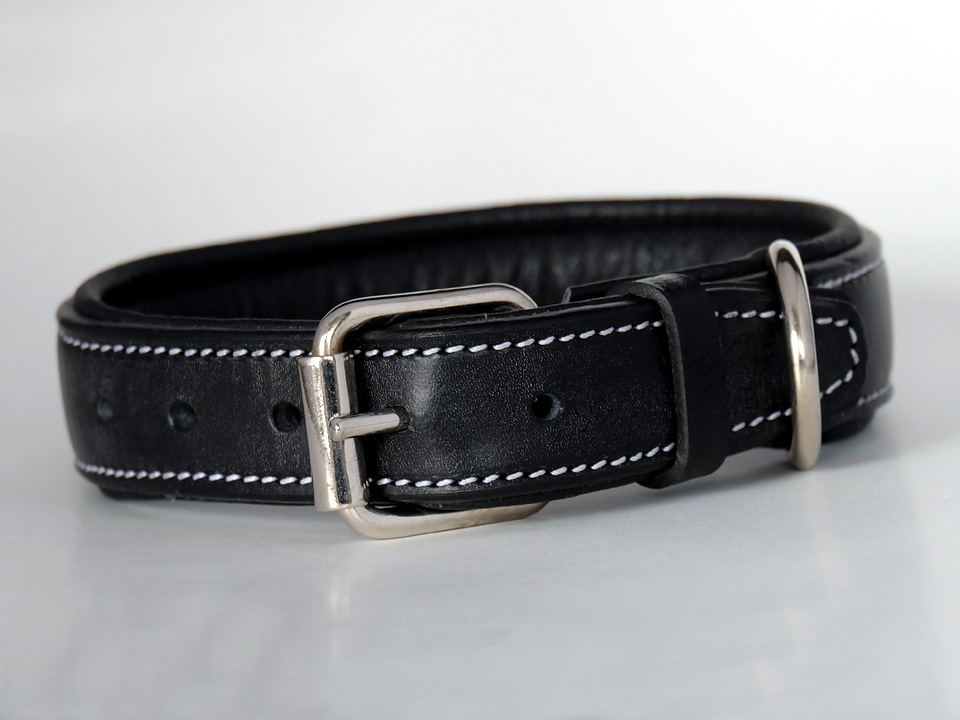 쥶ɥå顼ʥϥߡ˥֥å