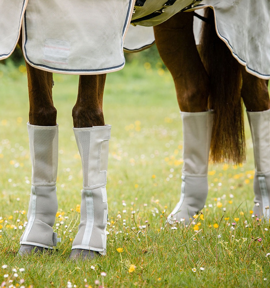 RANBO���ƥå��ե��åȡ��ե饤�֡���