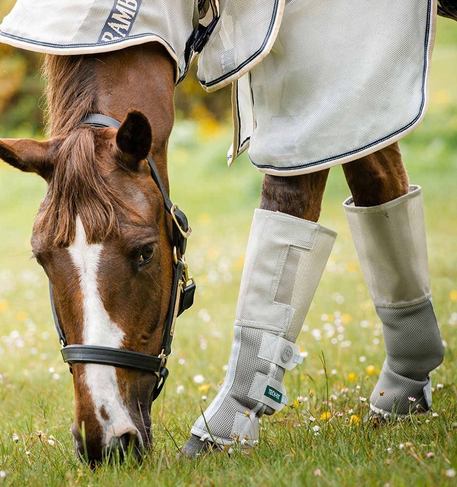 RANBO���ƥå��ե��åȡ��ե饤�֡���