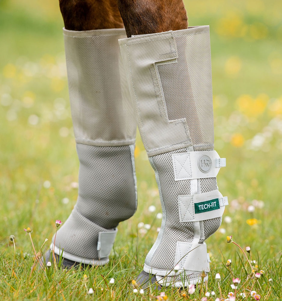 RANBO���ƥå��ե��åȡ��ե饤�֡���