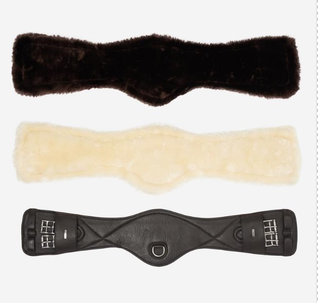 ���ꥫ�����०���롡���󥿡��ɡ��Ͼ���ʢ�� 