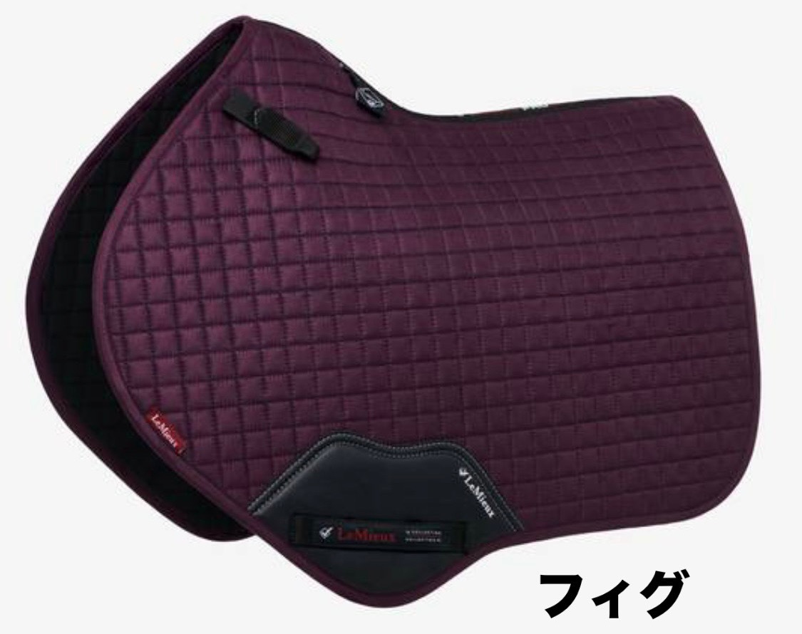 CC�������ɥ�������JP