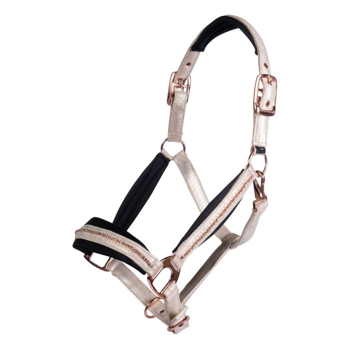 �ۥ륿����Rosegold���쥬��ȡ��Х˥�
