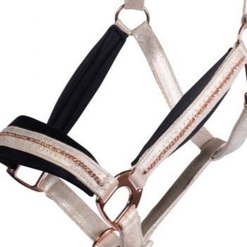 �ۥ륿����Rosegold���쥬��ȡ��Х˥�