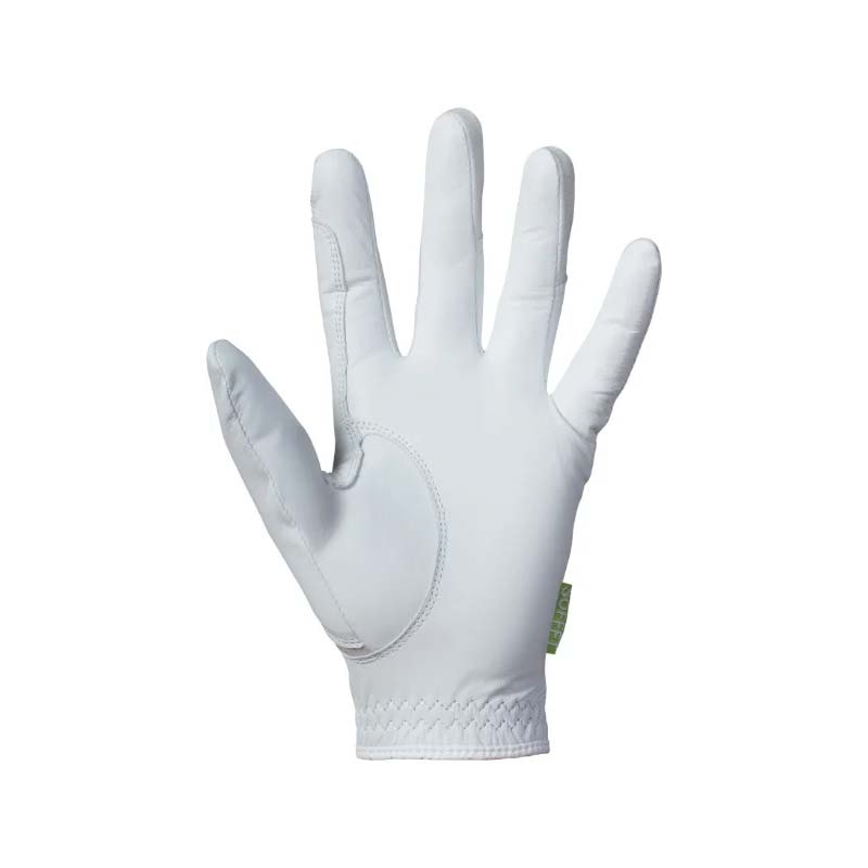 SOFFFT DRESSAGE  ����å�