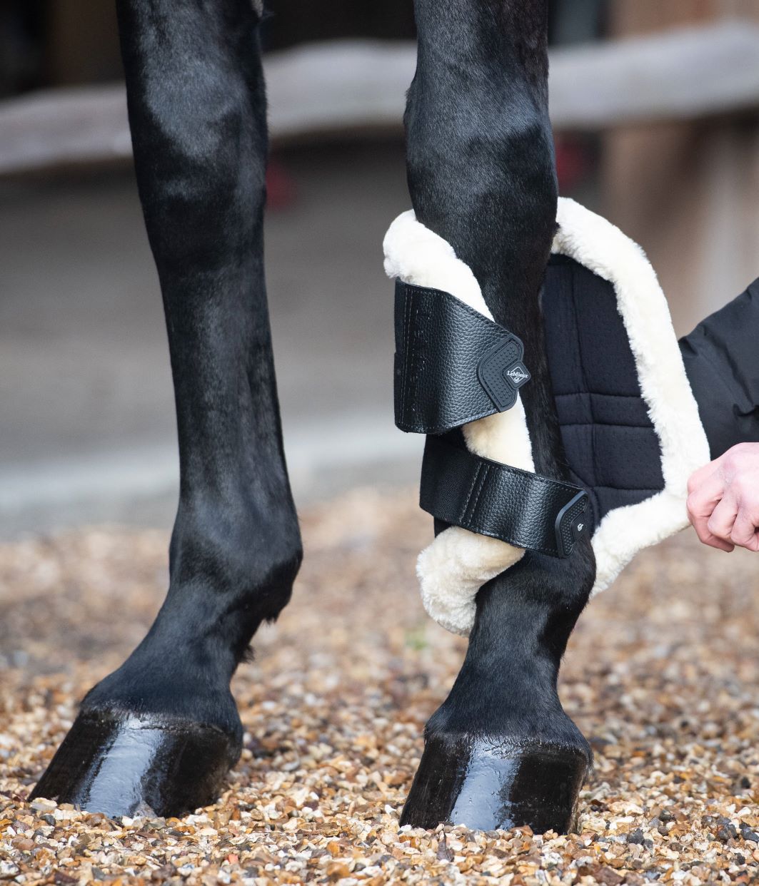 �ե꡼������å���֥�å��󥰥֡���